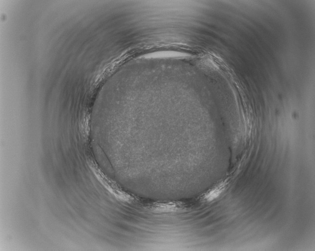 X0000052540405200507291855