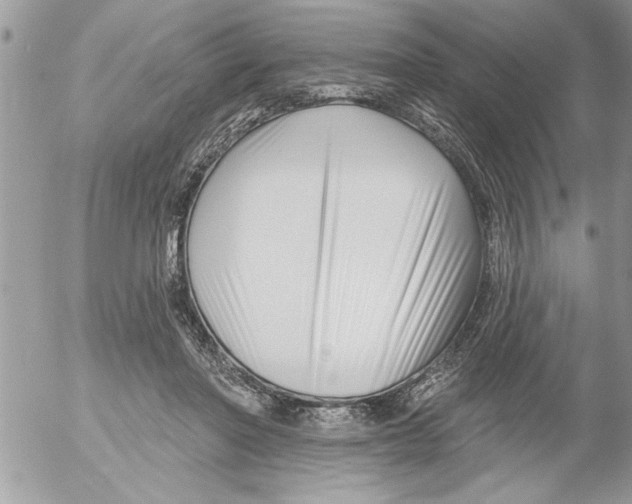 X0000052540406200507291855