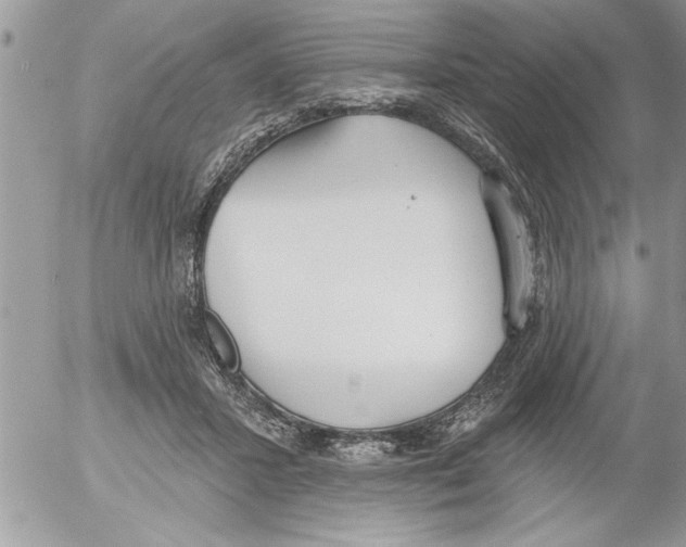 X0000052540407200507291855