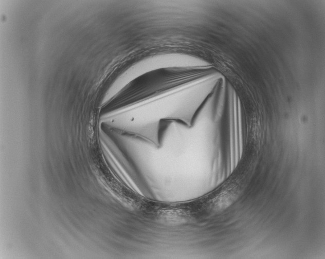 X0000052540408200507291855