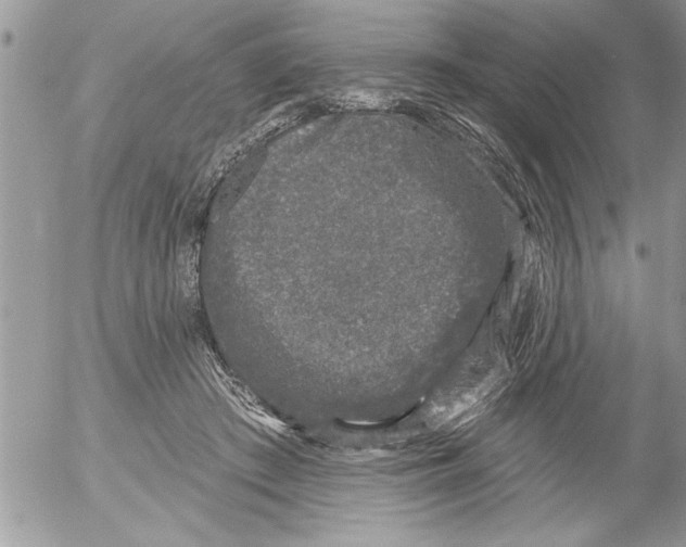 X0000052540409200507291855