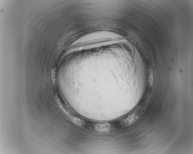 X0000052540410200507291855