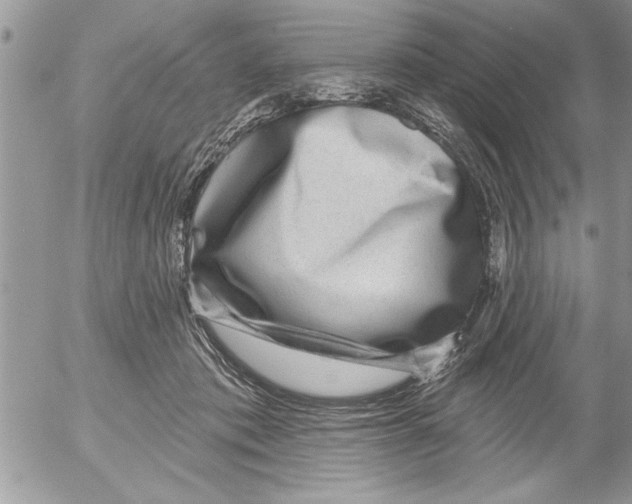 X0000052540413200507291855