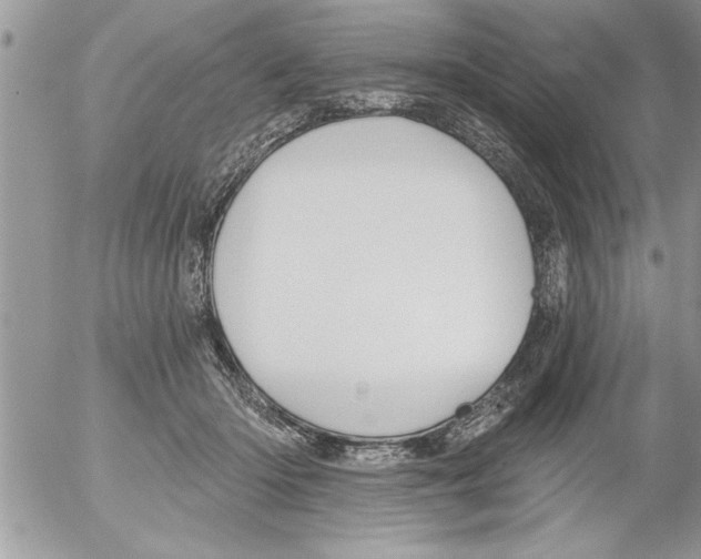 X0000052540414200507291855