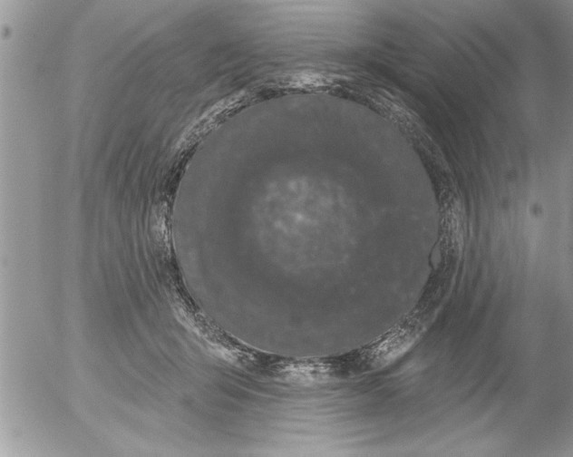 X0000052540415200507291855