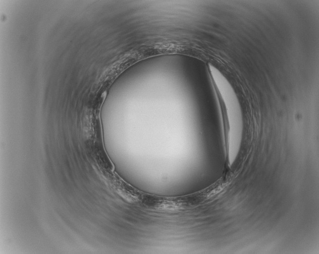 X0000052540416200507291855