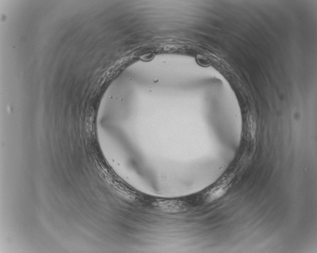 X0000052540417200507291855