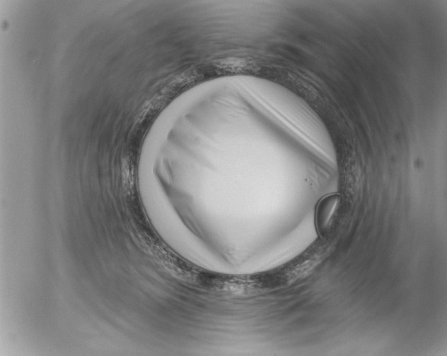 X0000052540420200507291855