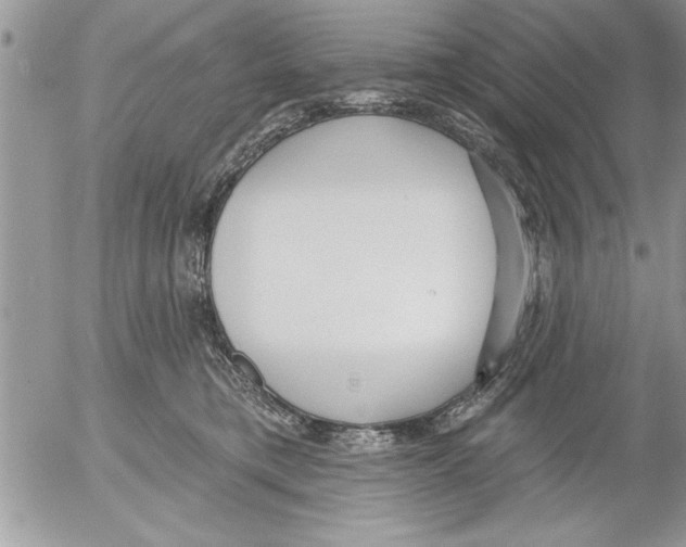 X0000052540421200507291855