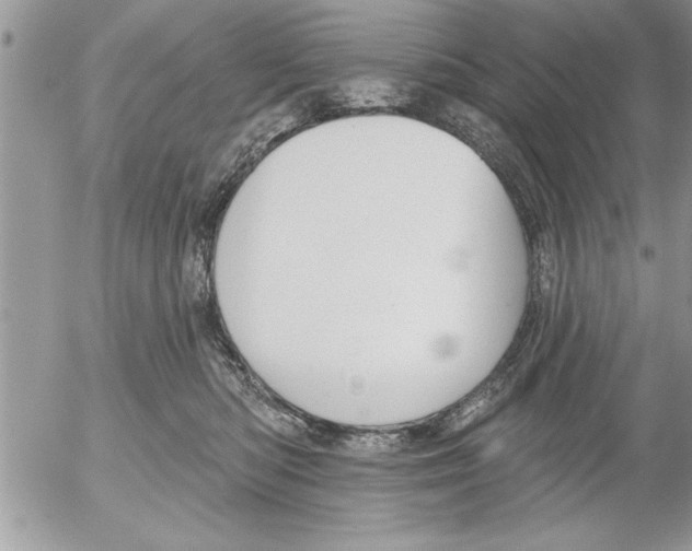 X0000052540422200507291855