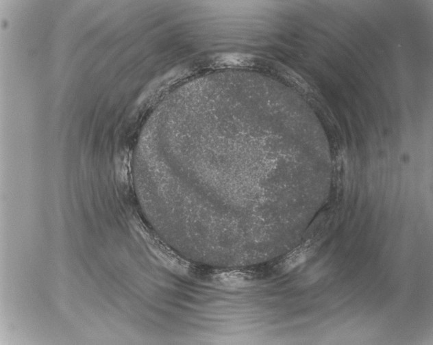 X0000052540423200507291855