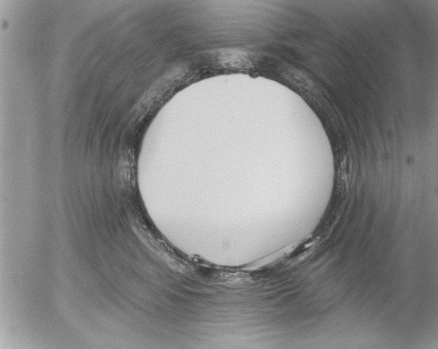 X0000052540424200507291855