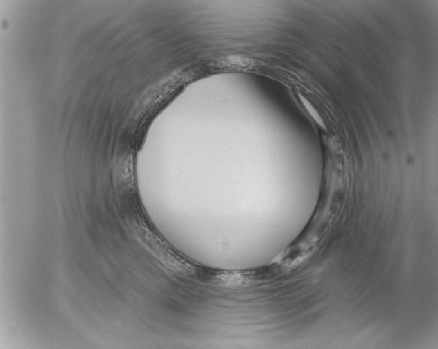 X0000052540425200507291855