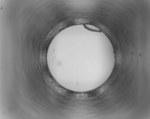 X0000052540426200507291855