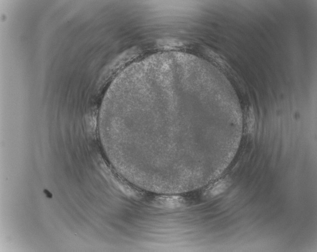 X0000052540427200507291855