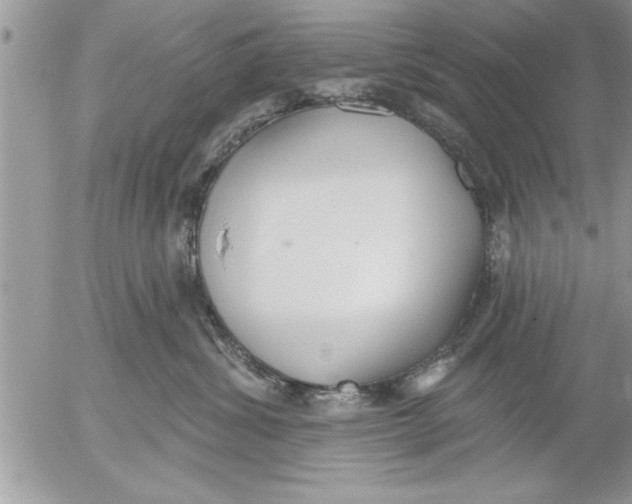 X0000052540428200507291855