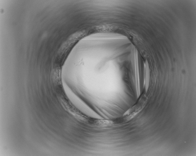 X0000052540429200507291855