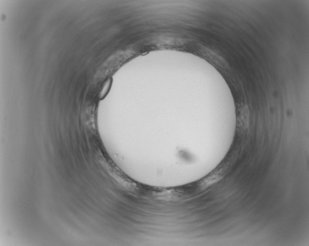 X0000052540430200507291855