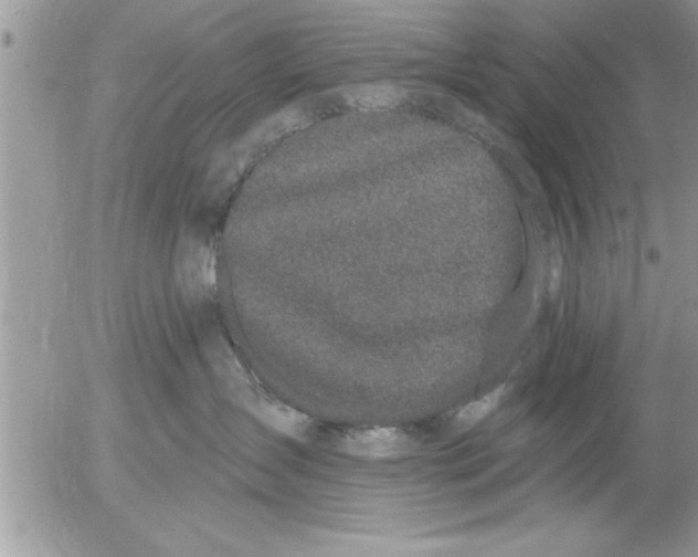 X0000052540431200507291855