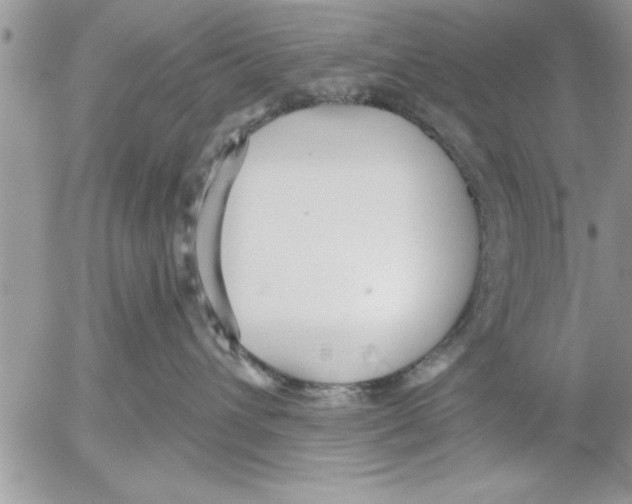 X0000052540432200507291855