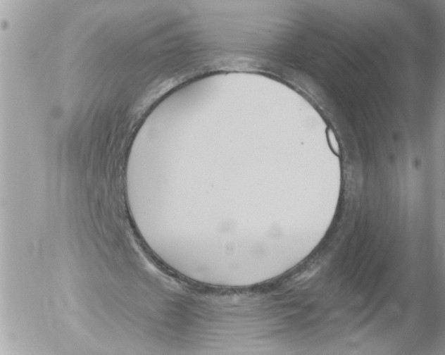 X0000052540433200507291854