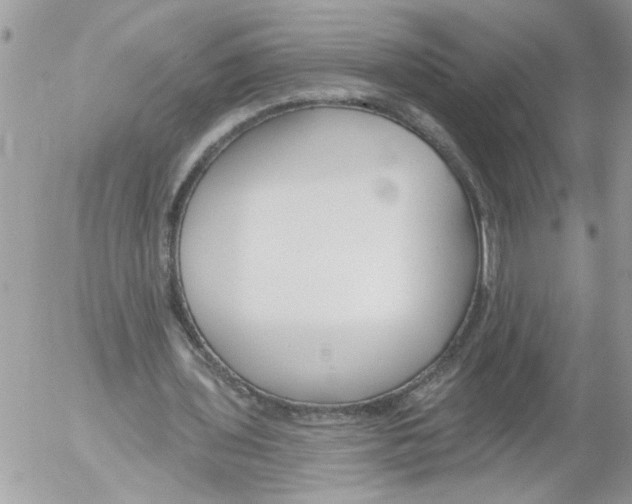 X0000052540435200507291854