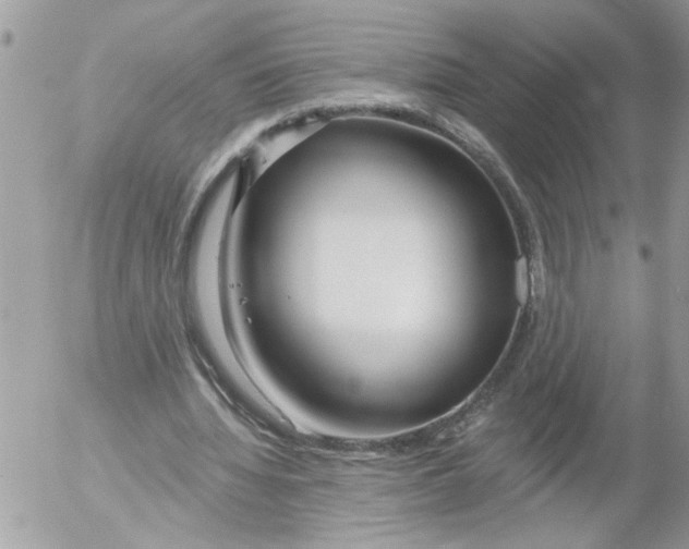 X0000052540436200507291854