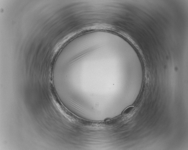 X0000052540437200507291854