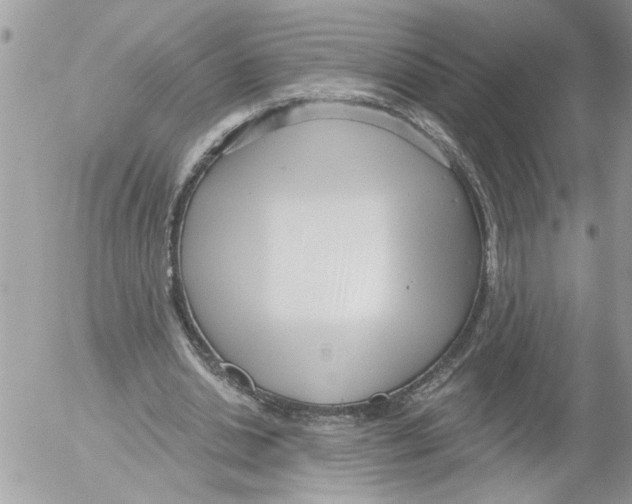 X0000052540438200507291854