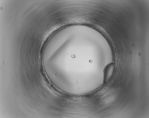 X0000052540439200507291854