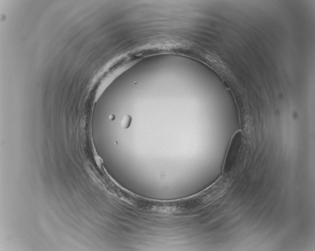 X0000052540440200507291854