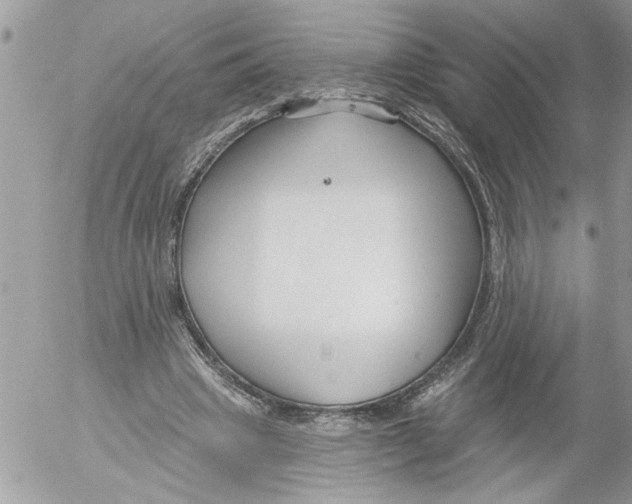 X0000052540441200507291854