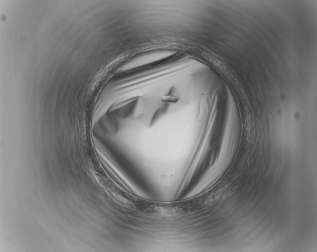 X0000052540442200507291854