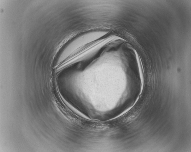 X0000052540443200507291854