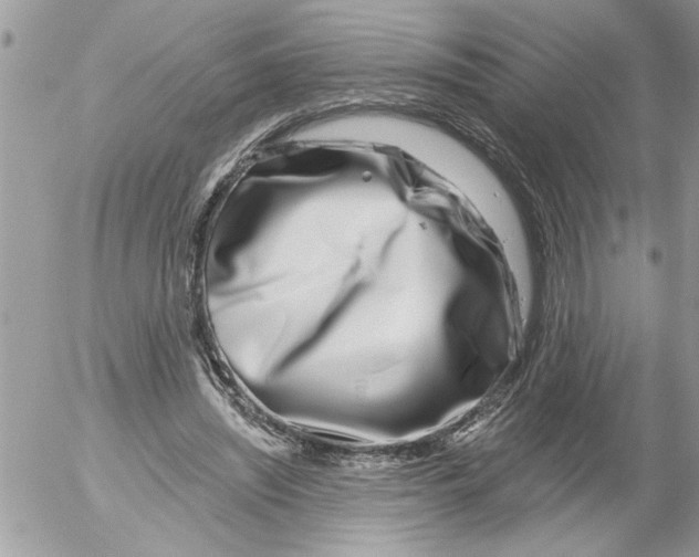 X0000052540444200507291854