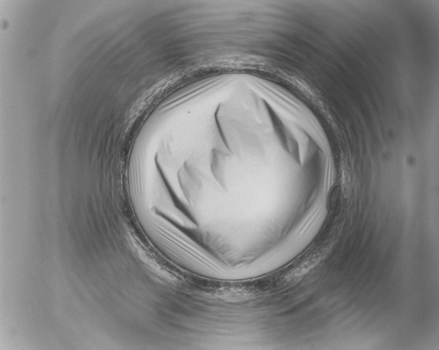 X0000052540445200507291854