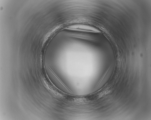 X0000052540446200507291854