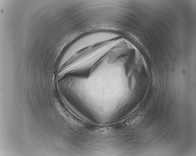 X0000052540447200507291854