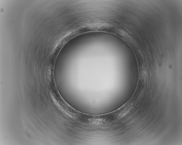 X0000052540448200507291854