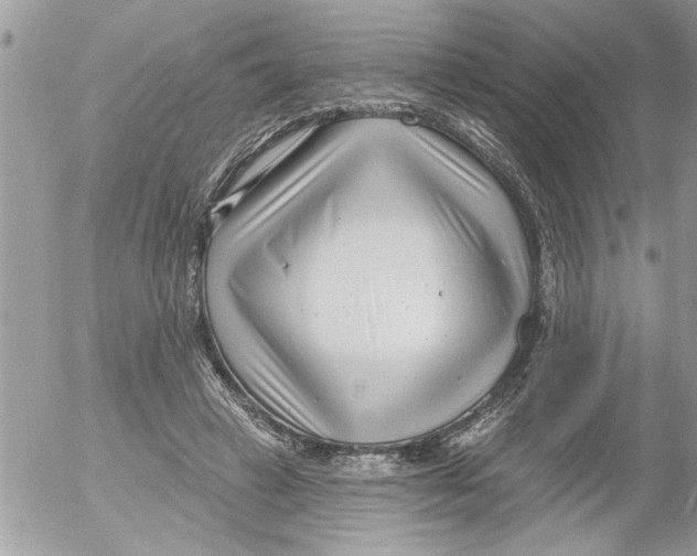 X0000052540449200507291854