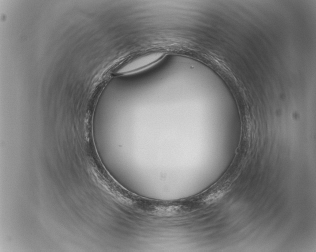 X0000052540450200507291854