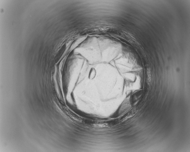 X0000052540451200507291854