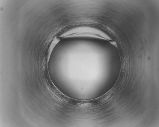 X0000052540452200507291854