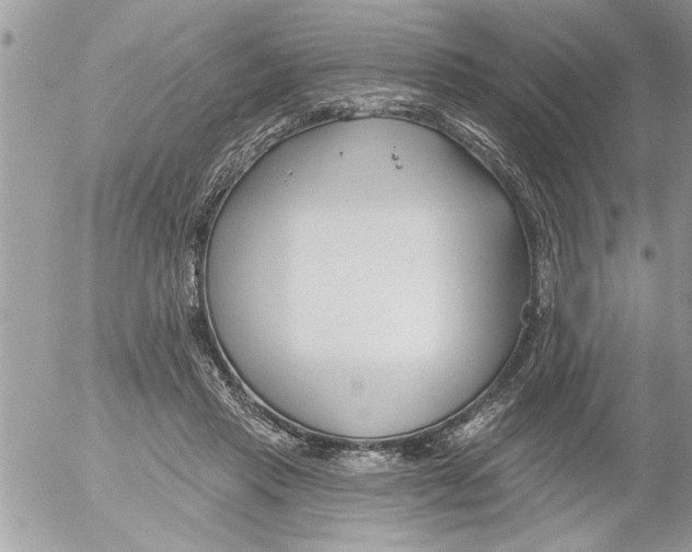 X0000052540453200507291854