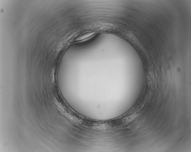 X0000052540454200507291854