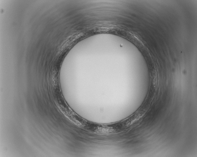 X0000052540455200507291854