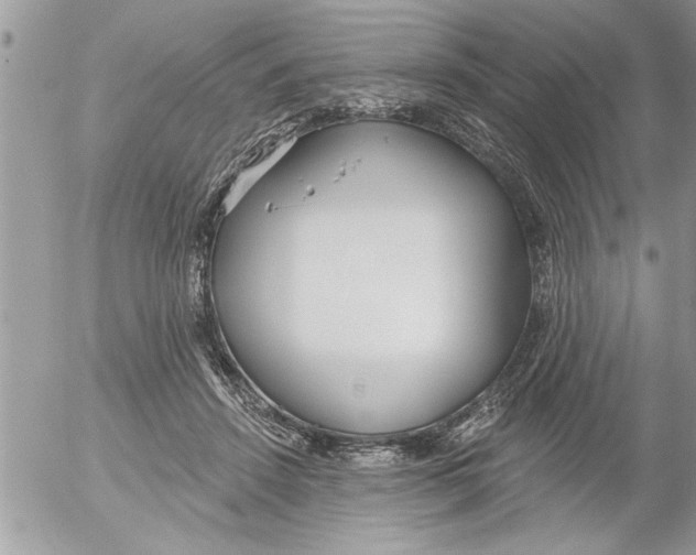 X0000052540456200507291854