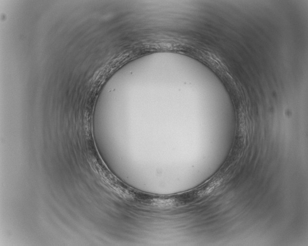 X0000052540457200507291855