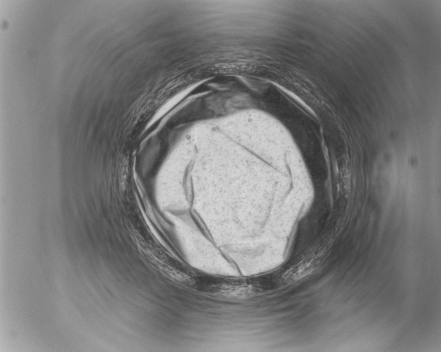 X0000052540458200507291855