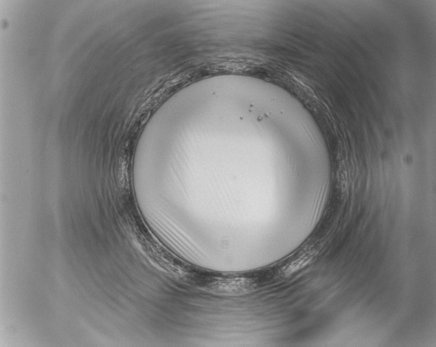 X0000052540459200507291855